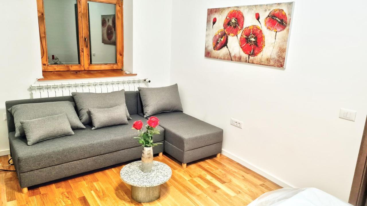 Spacious 5* Luxury In Historic Center Free Parking คลูจ-นาโปกา ภายนอก รูปภาพ